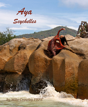Aya Seychelles- Click here to buy from Blurb